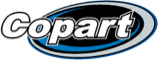 Informe Copart sample preview